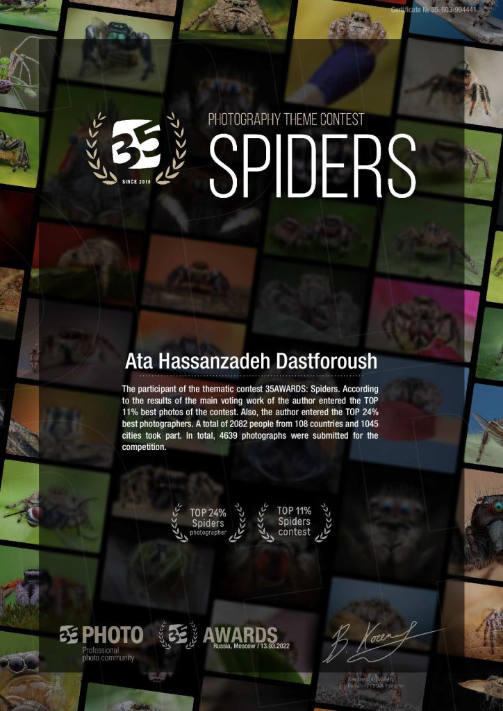 35awards Spiders