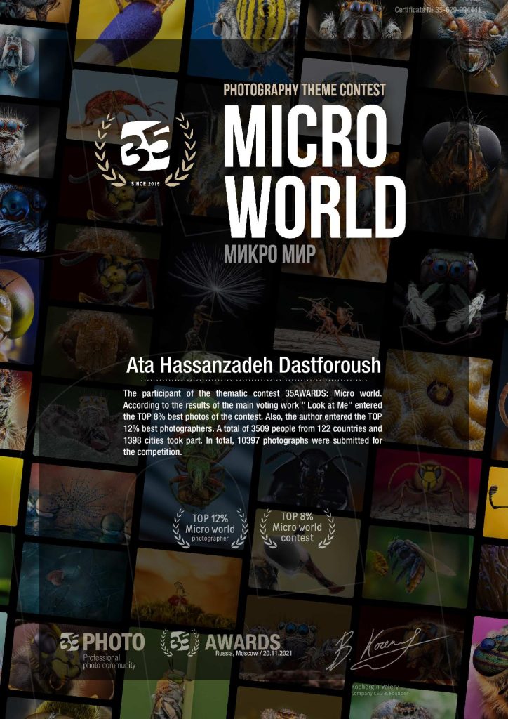 35awards Micro World