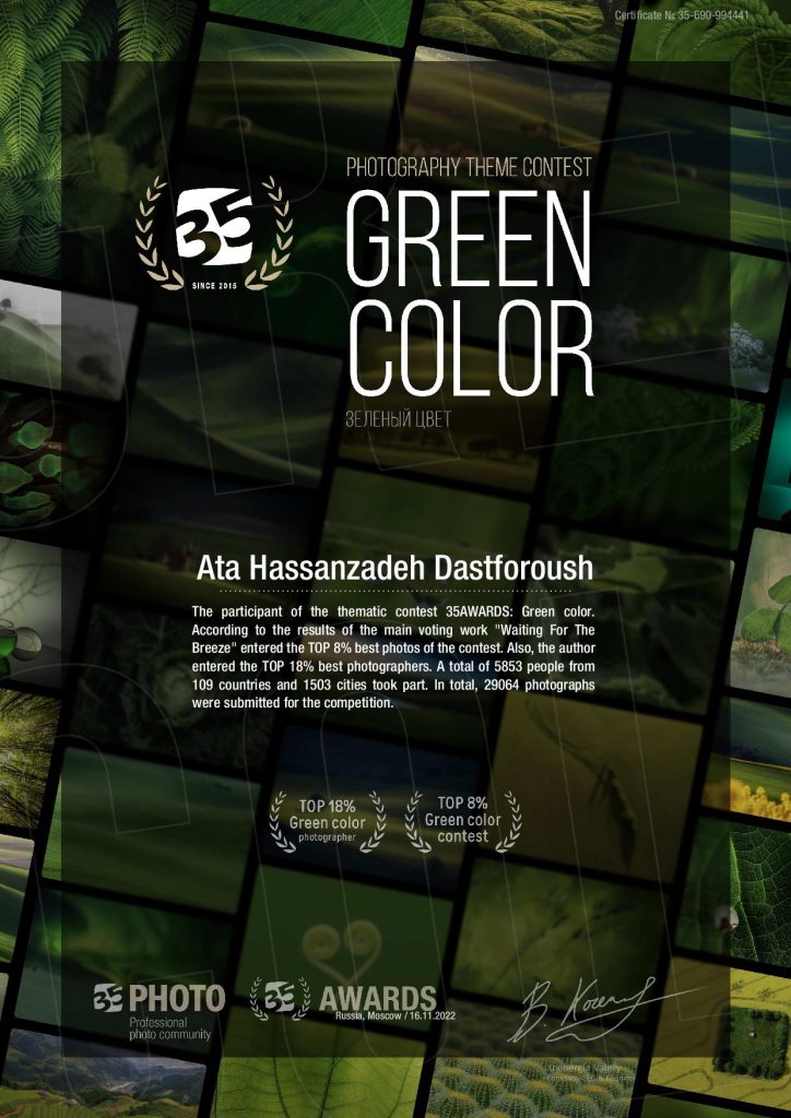 35awards Green Color