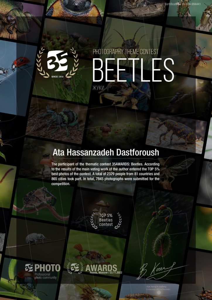 35awards Beetles