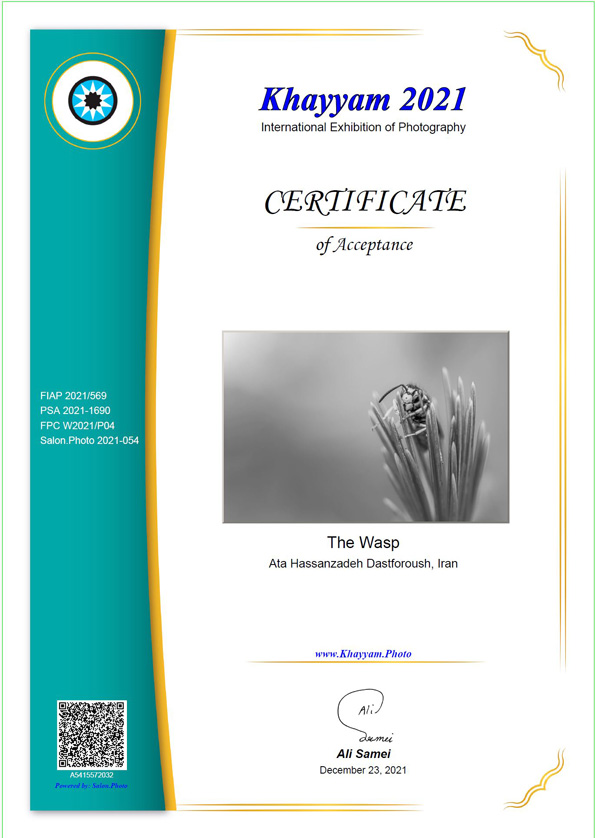 9th KHAYYAM INTERNATIONAL EXHIBITION oF PHOTOGRAPHY, 2021